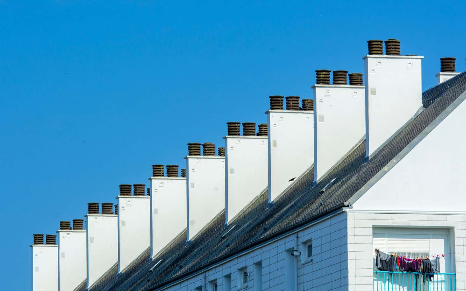 Representative chimney animal-removal photo